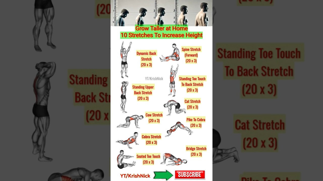 10 Stretches To Increase Height Fast | #growtallerathome #shorts #heightincrease