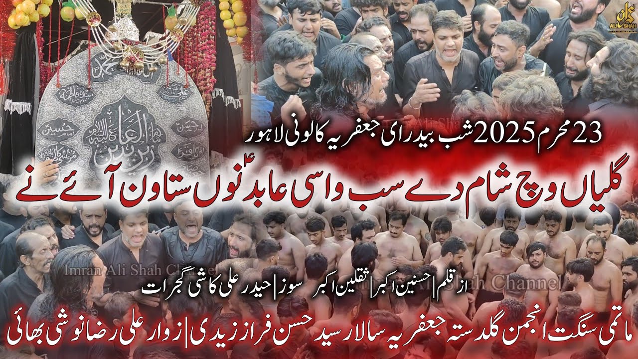 Galiyan Vich Sham De Sab Vasi | 23 Muharram | Anjuman Guldasta Jaffria | Shab Bedari | Hasnain Akbar