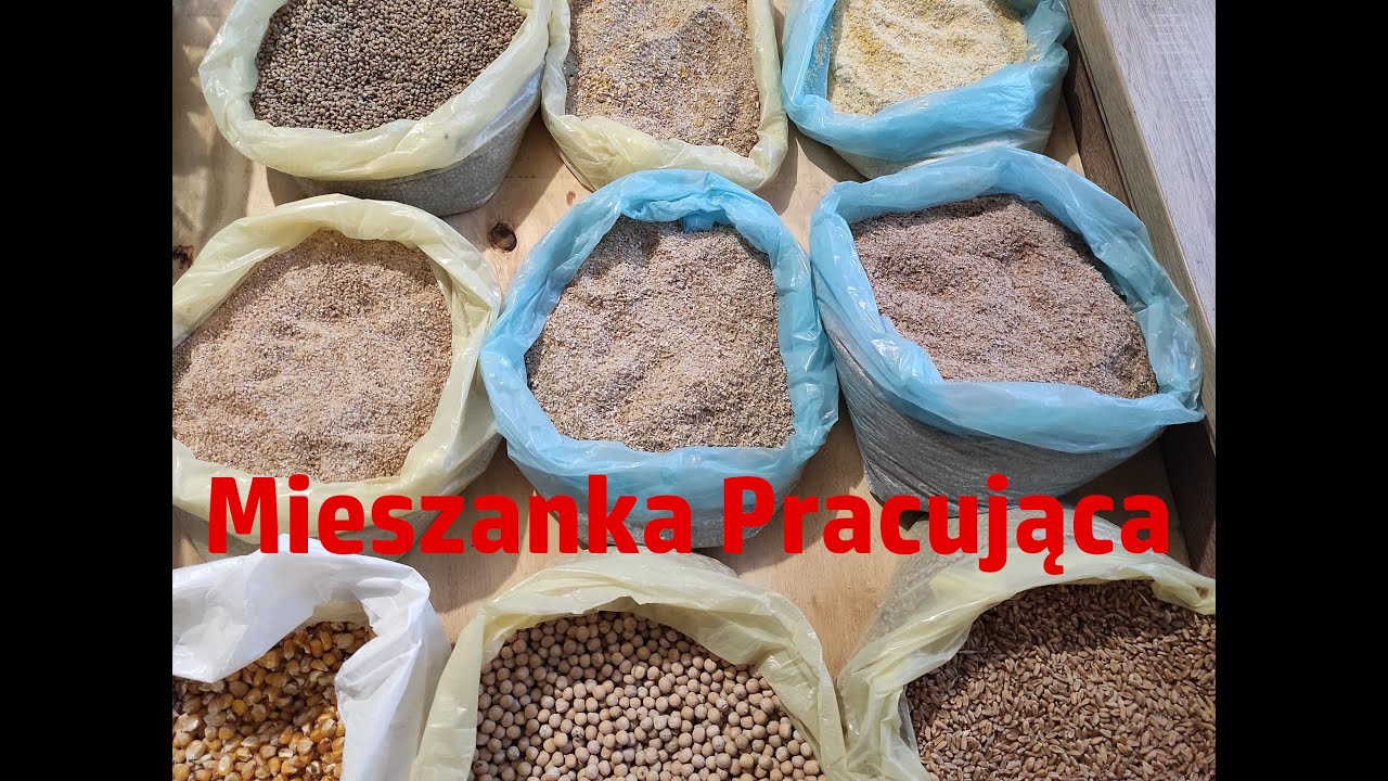 Produkcja Własnej ZANĘTY