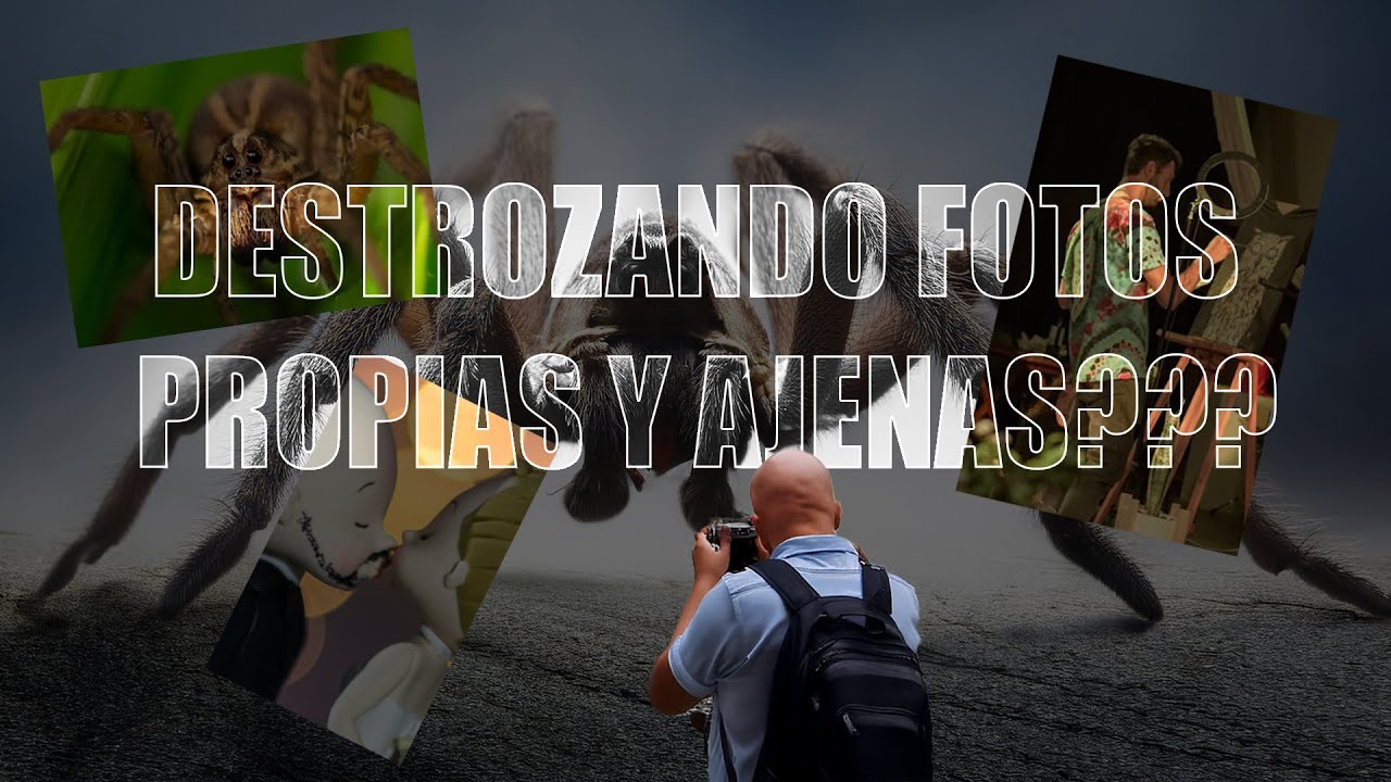 🤔CÓMO ANALIZAR UNA FOTOGRAFÍA🧐 - ✅Estimulación y Apreciación Fotográfica📸