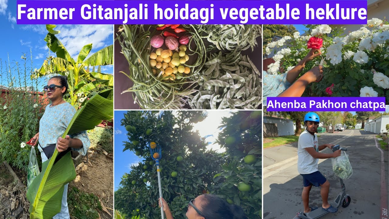Farmer @gitanjalilaishram hoidagi vegetable, fruit mayam heklure ; Leikai thungna yenkhre