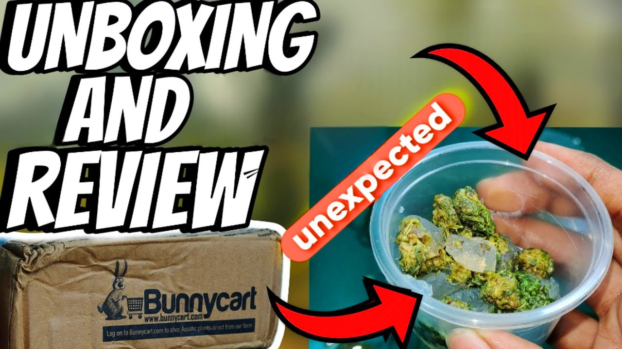 BUNNYCART Aquarium plants☘️|| UNBOXING AND REVIEW || SHOCKING UNEXPECTED