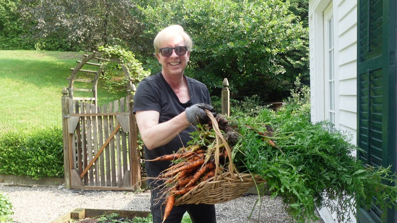 Harvesting Carrots & Making Carrot Top Pesto!