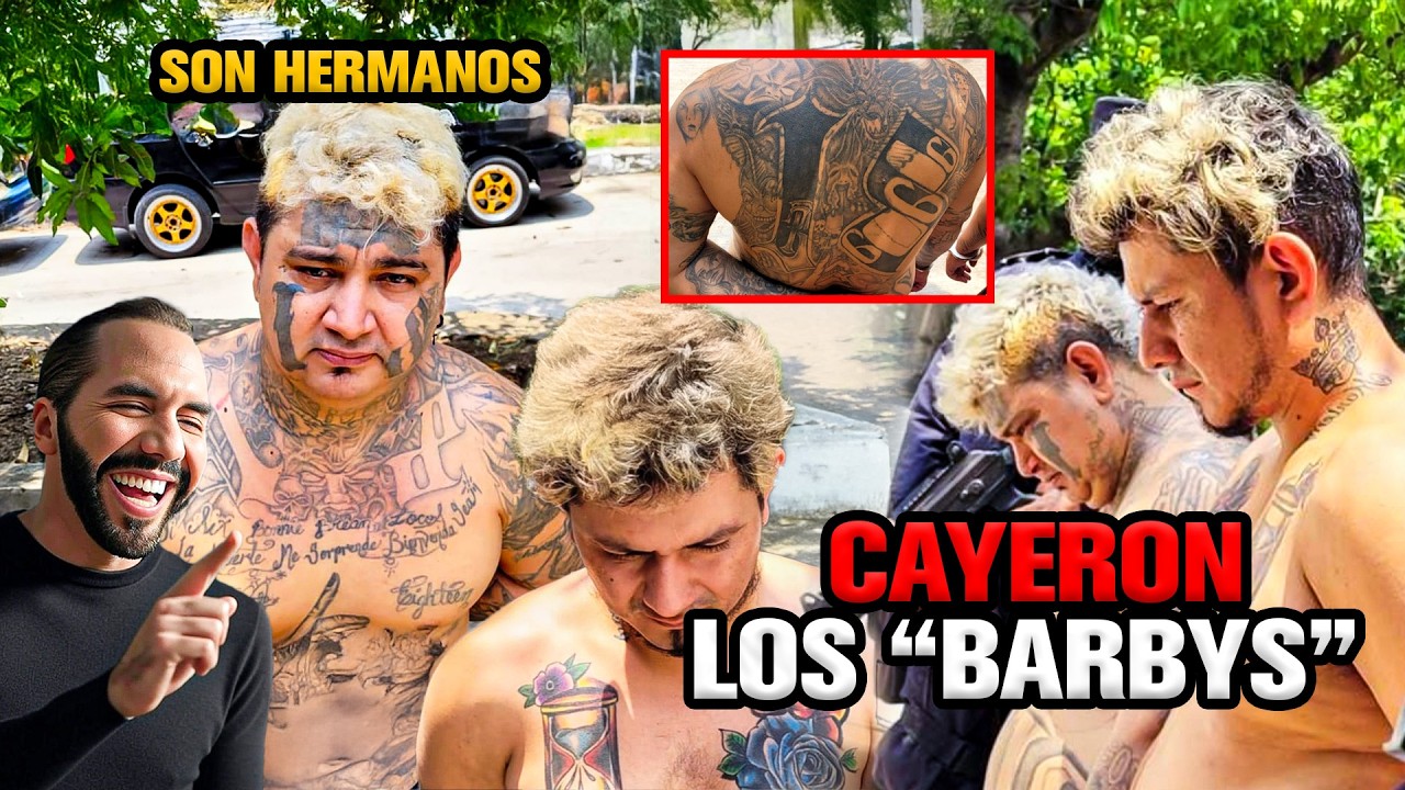 🚨🔥 CAYERON LOS “BARBYS” Vivían Como Reyes Hasta Que La Fuerza Armada Tocó Su Puerta 🚨🔥