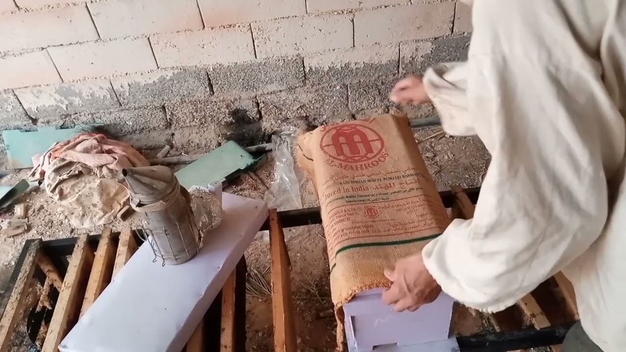طريقتي في دعم خليه ضعيفه بإطار حضنه بنحله ونصيحه في اخر المقطع لاهم اعمال شهر 10 لنحالين الشمال