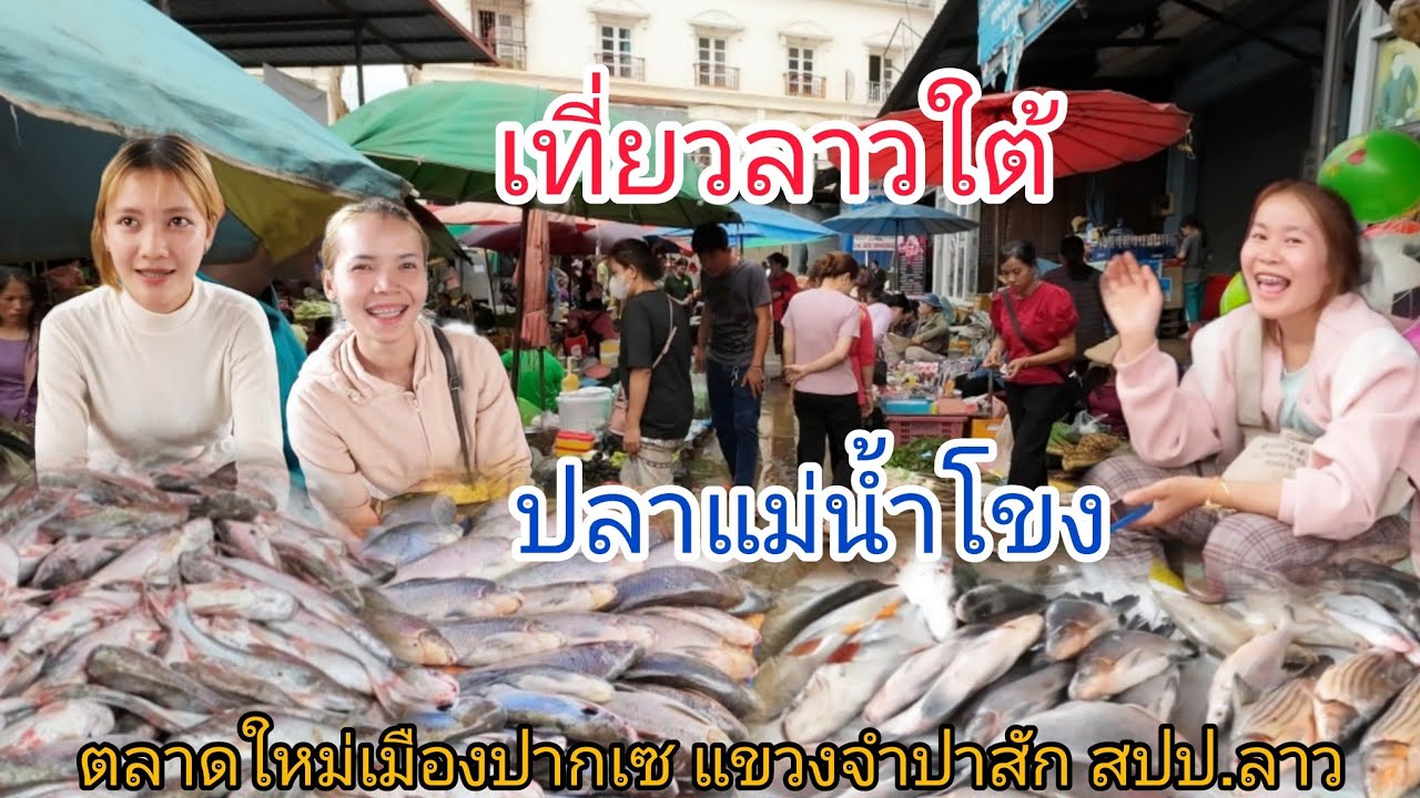 ปลาแม่น้ำโขงเยอะสุดๆ #แม่ค้า  งามหลายๆ #ตลาด #ลาวใต้ เมืองปากเซ แขวงจำปาสัก สปป.ลาว #สาวลาว