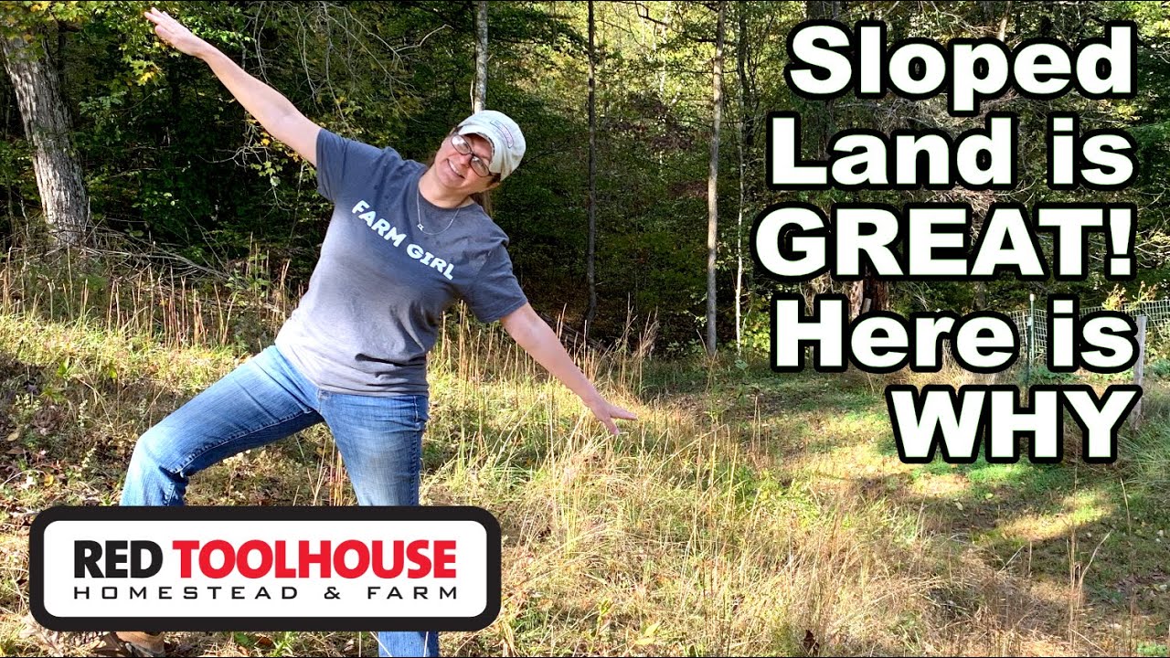 5 Reasons to Consider Buying SLOPED land for your Farm/Homestead