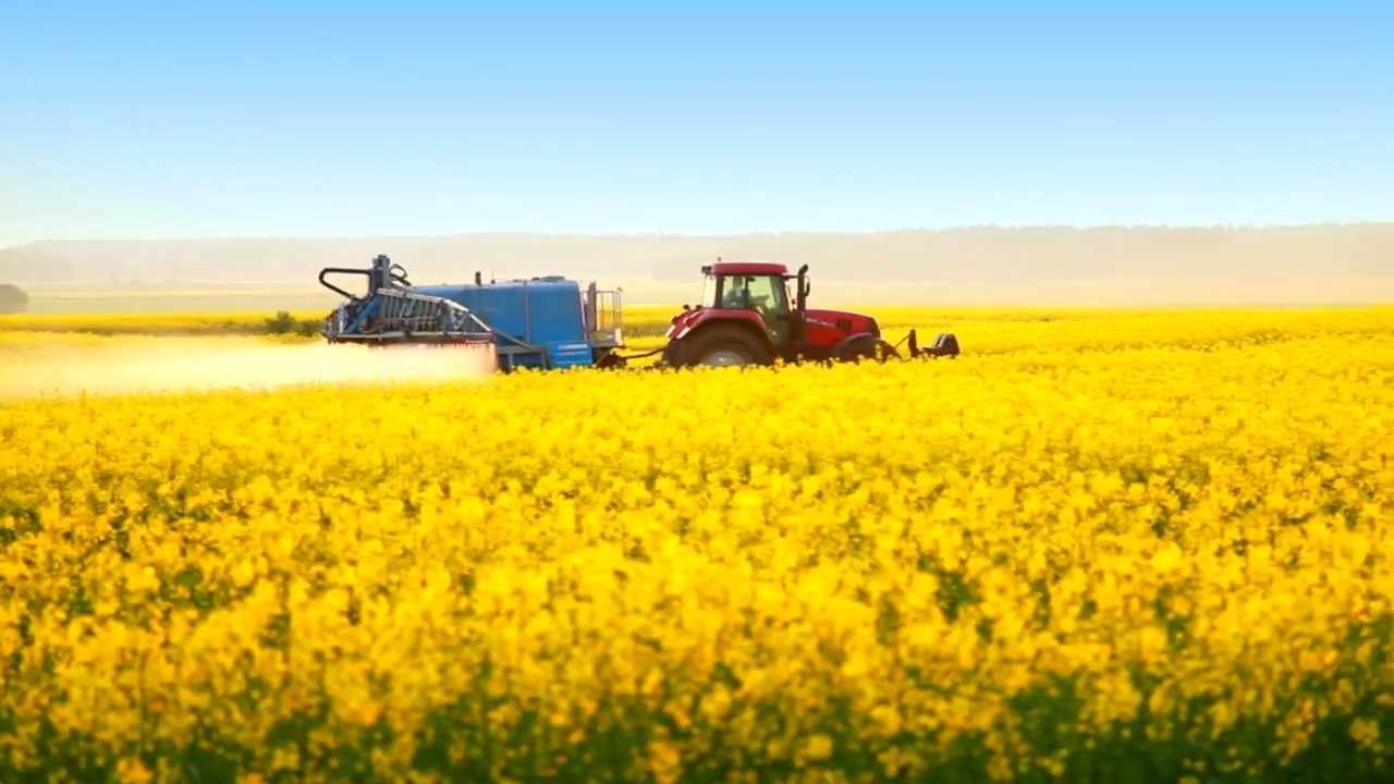 Braniewo - droga do nowoczesnej Europy