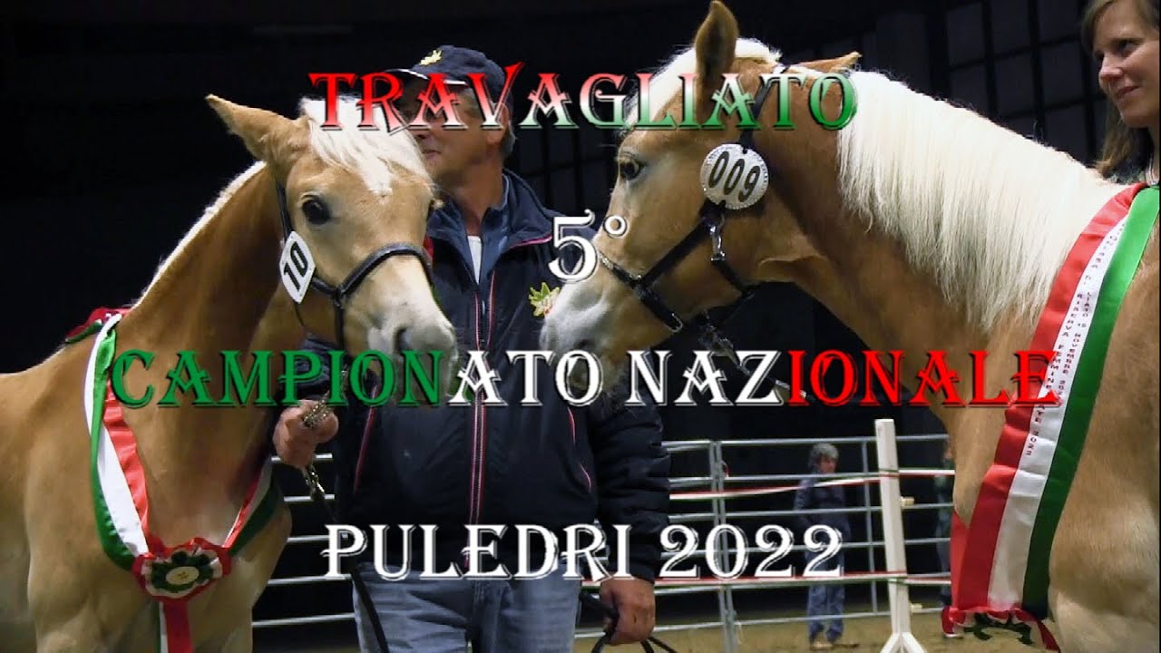 Travagliato (BS) 5° campionato nazionale puledri 2022