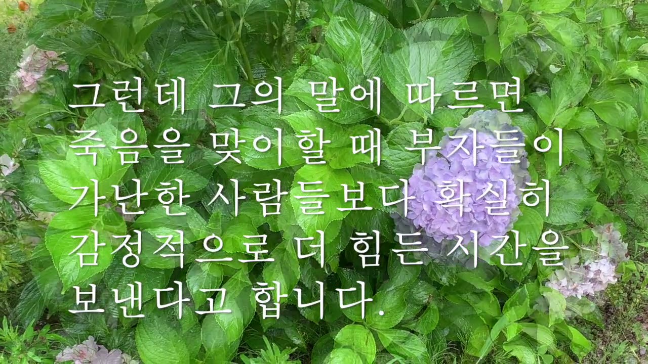 *매일 아침 10분명상/마음공부/돈은 도구 입니다/Zen master Dae Bong Do Mun /Beautiful Piano Music: Meditation music,