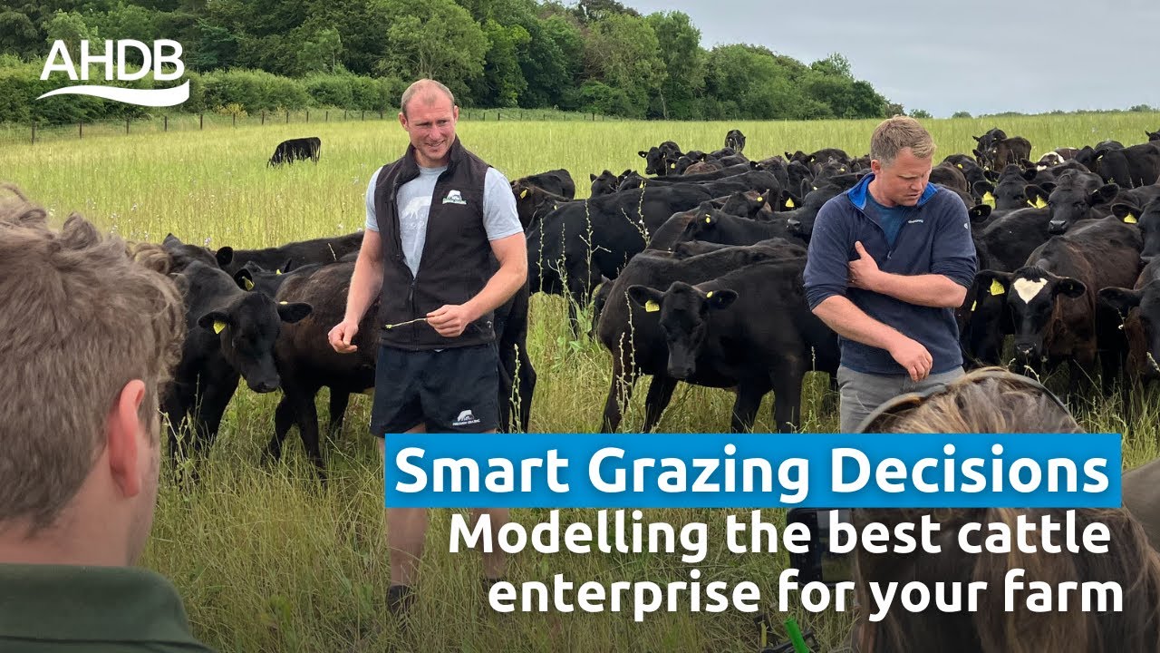Smart Grazing Decisions: Modelling the Best Cattle Enterprise for Your Farm
