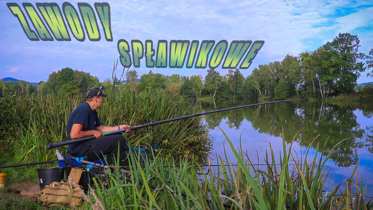 Spławikowe ZAWODY #31