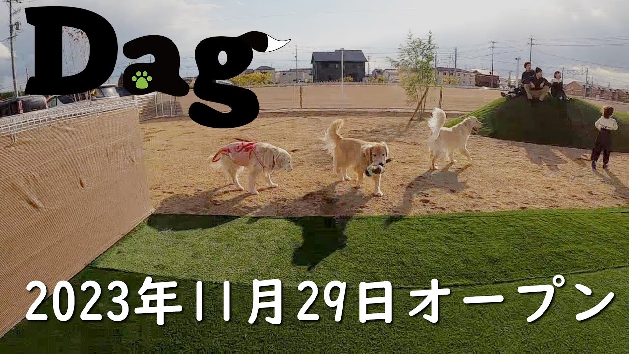 11月29日「Dag」ドッグラン・ドッグカフェがオープン！内覧会では愛がいっぱい溢れていました