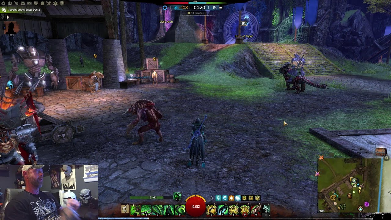 Guild Wars 2 what is world vs world like ?