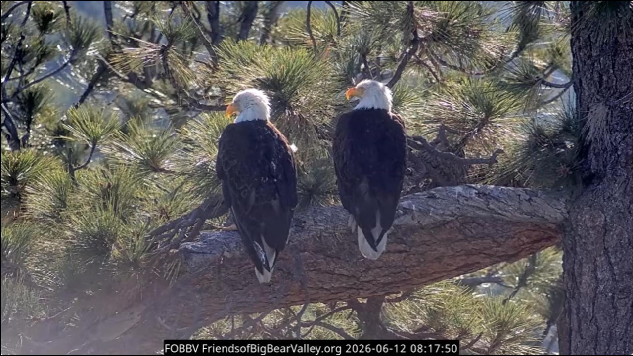 6-12-2026 On the Wings of Eagles