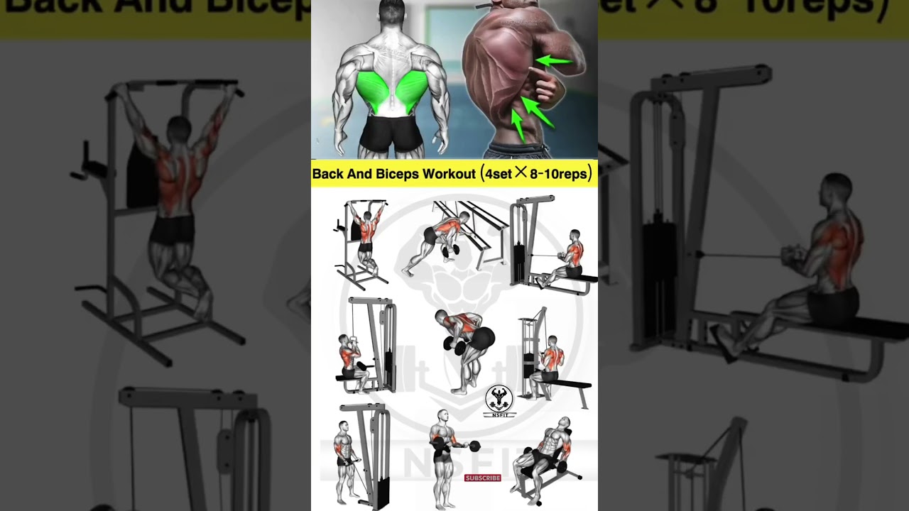 The EASIEST Triceps and Back Workout for Beginners