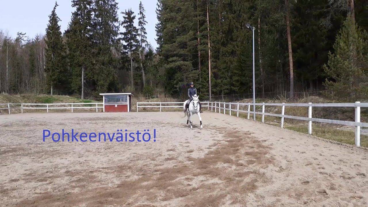Pohkeenväistö: tavallisin istuntavirhe + vinkkejä ratsastamiseen (ratsastajan istunta)
