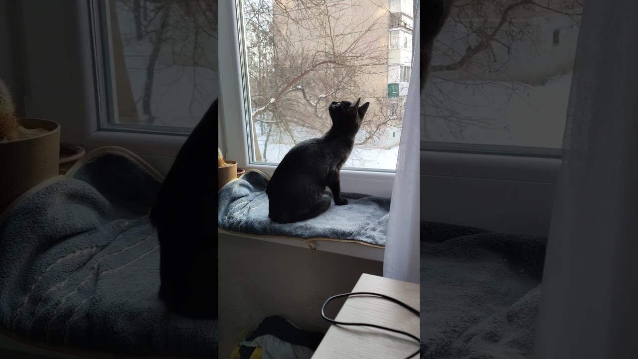 Неправильно там как-то ) 