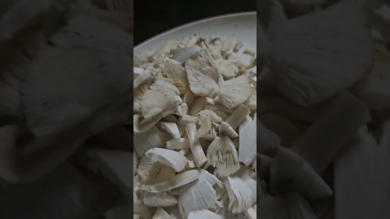 Koon Cleaning karikila കൂൺ #mushroom #food #foodlover #kerala #shortvideo #home