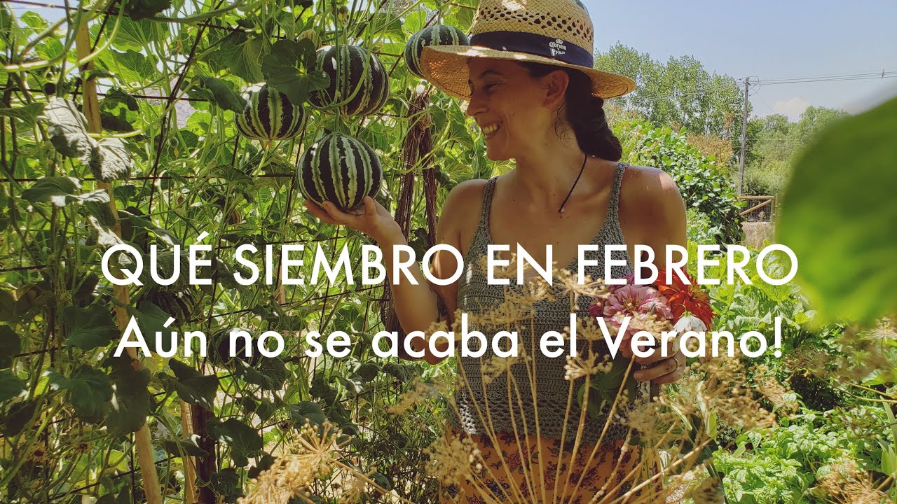 Qué Sembrar en Febrero. #HemisferioSur | Todavía queda Verano!
