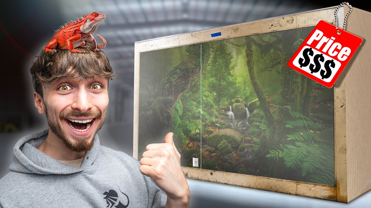 Massive Reptile Exhibits Arrived!