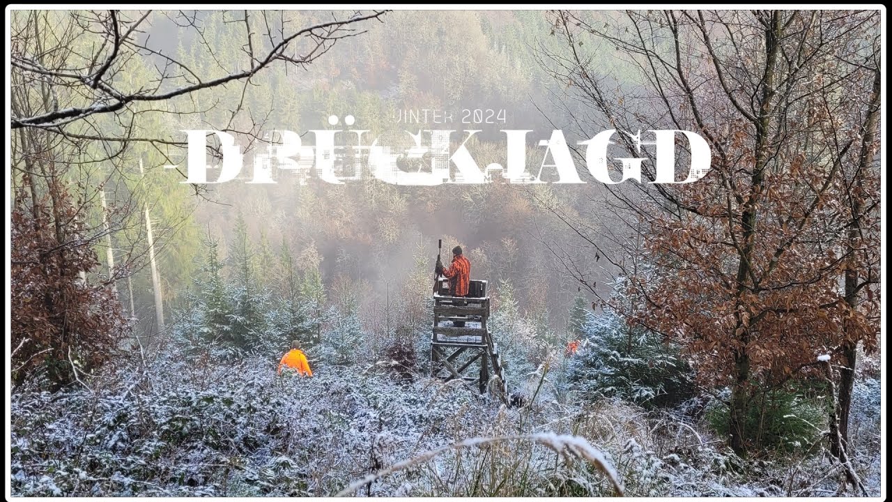 Dr&uuml;ckjagd im Winterwunderland 2024, Mit Rekord Strecke von 55 Sauen. Driven hunt on wild boar