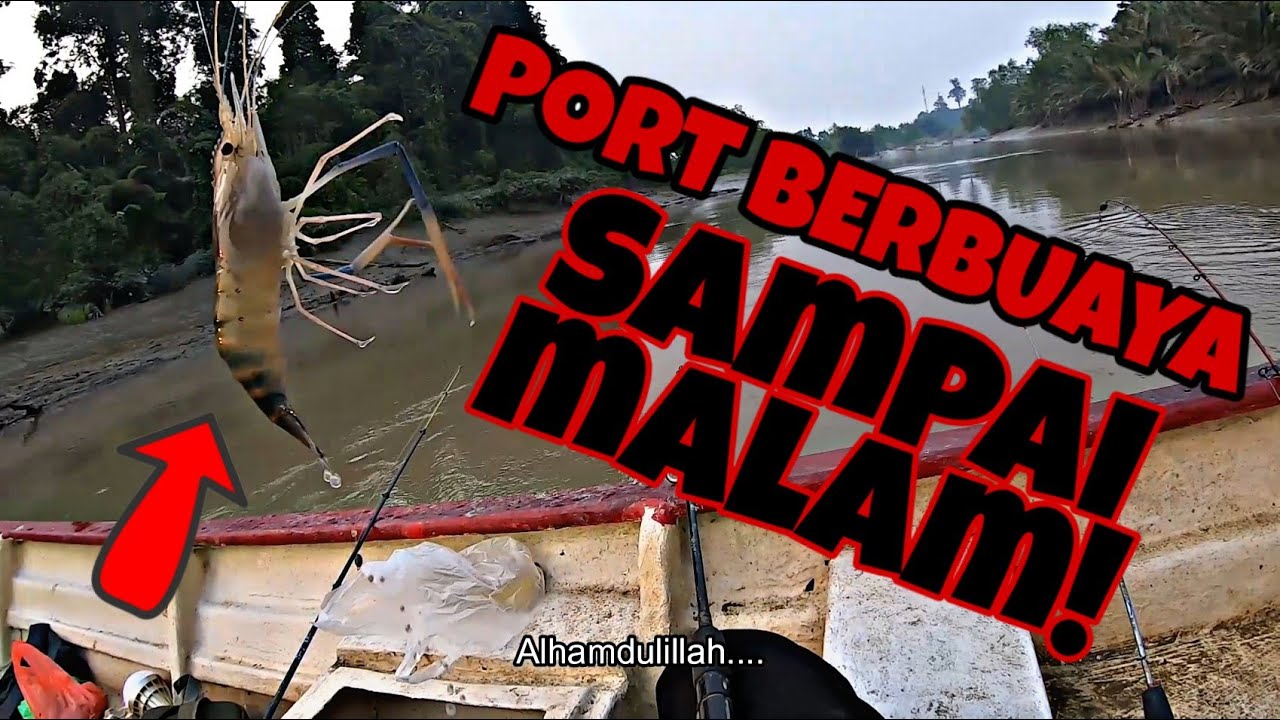 UDANG sungai MERANEK | Lokasi BERBUAYA