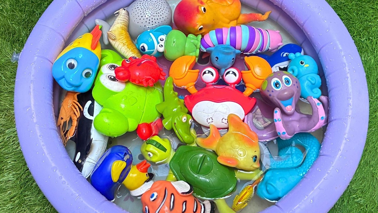 Explore Sea Animals for Kids | Exciting Ocean Adventure & Playtime for Toddlers!