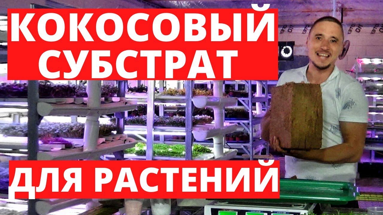 Кокосовый субстрат для растений Микрозелень Рассада Буферизация как замочить кокосовый субстрат
