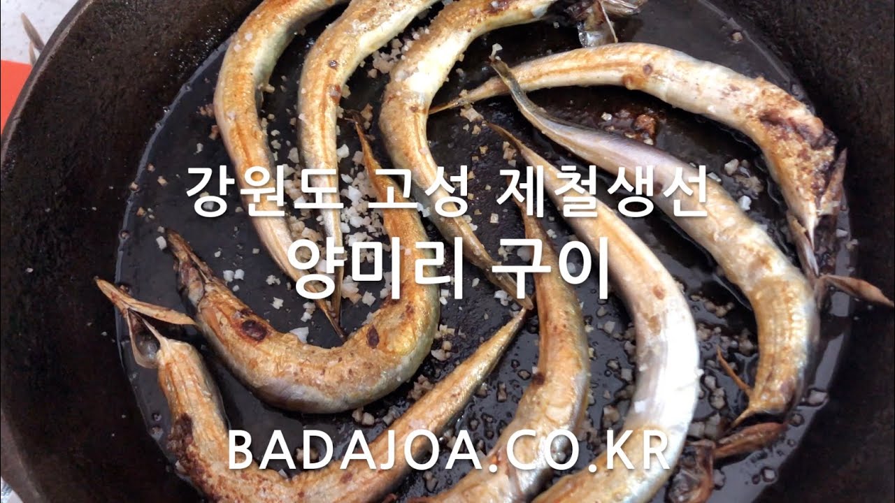 아야진 제철생선 양미리 구이