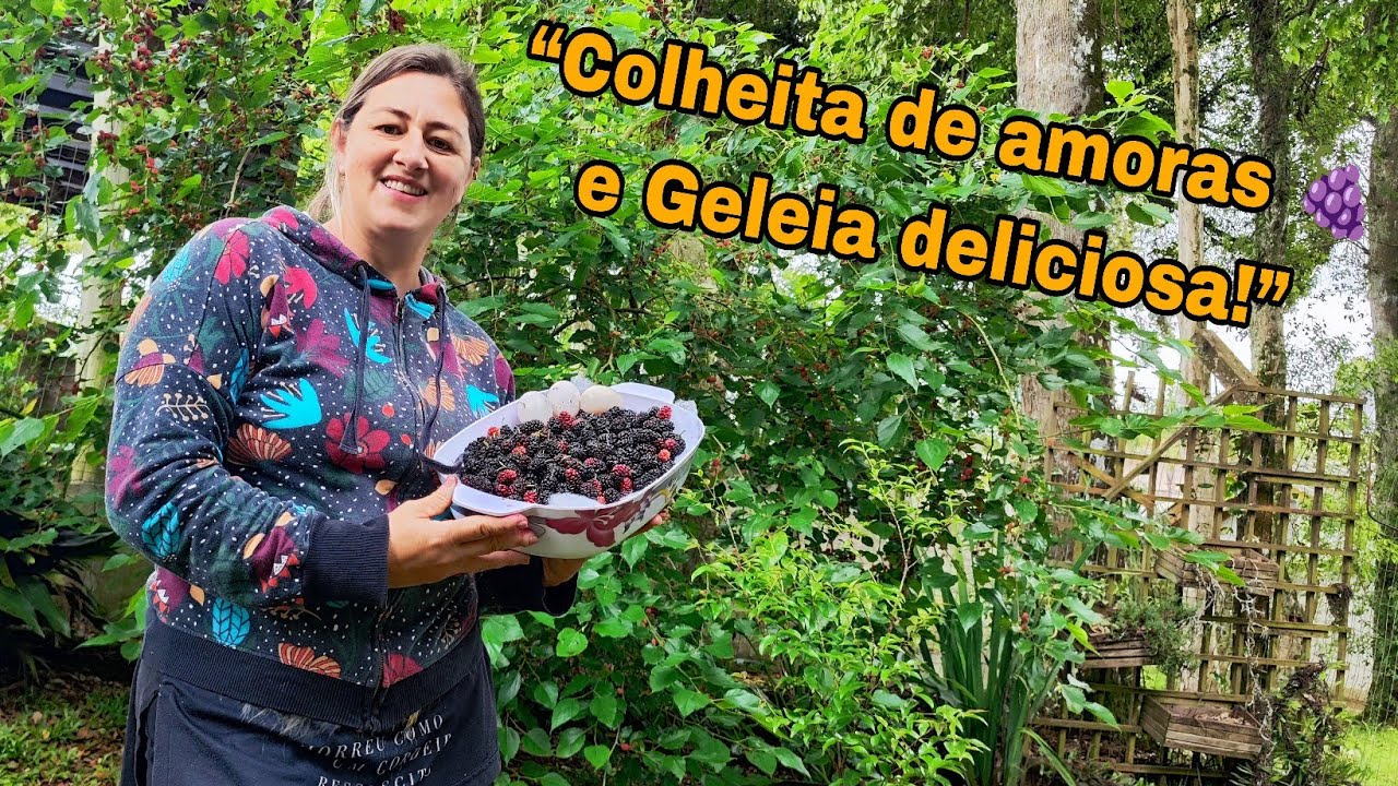 Colheita de amoras e geleia caseira deliciosa! 🍇💜