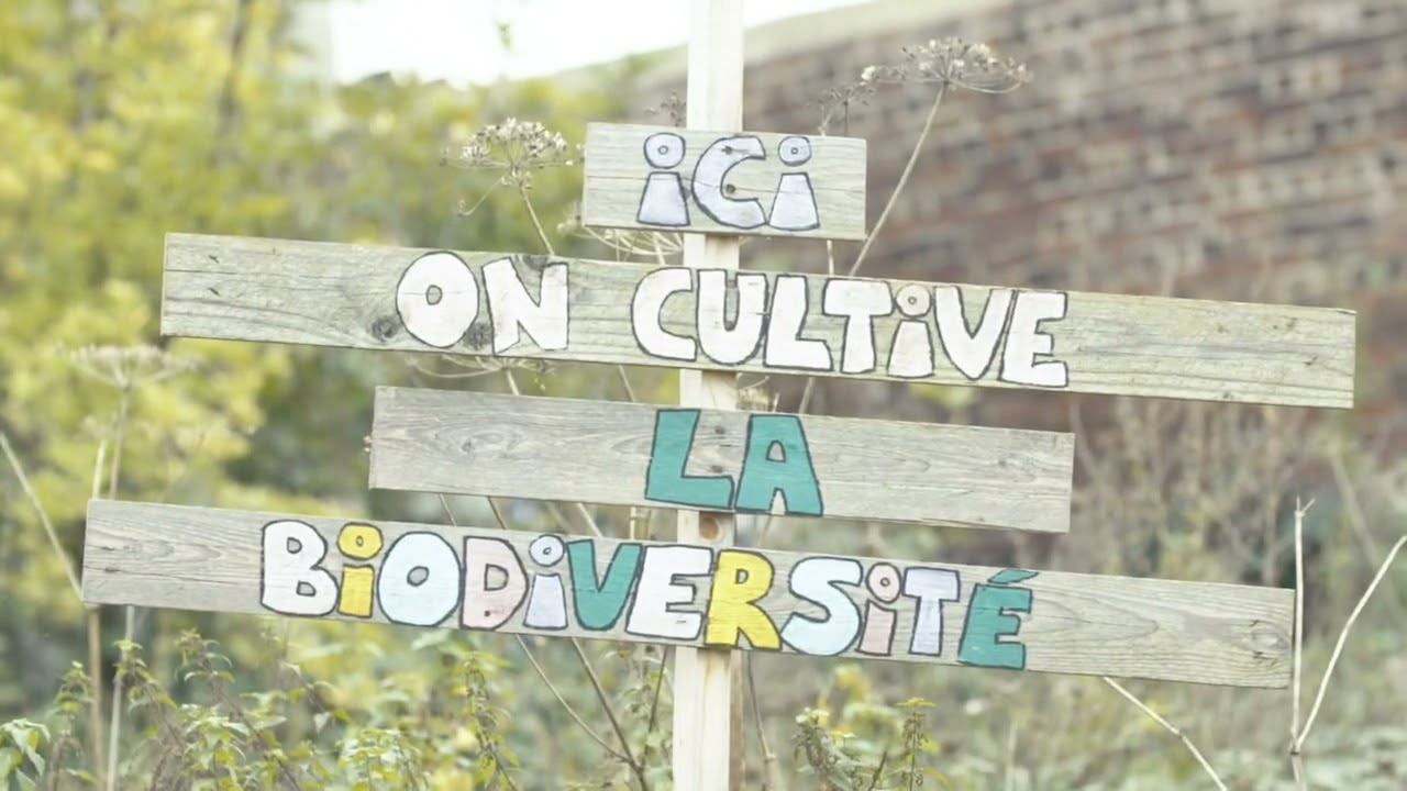 01 Paysan Urbain VDEF Mixe 090218