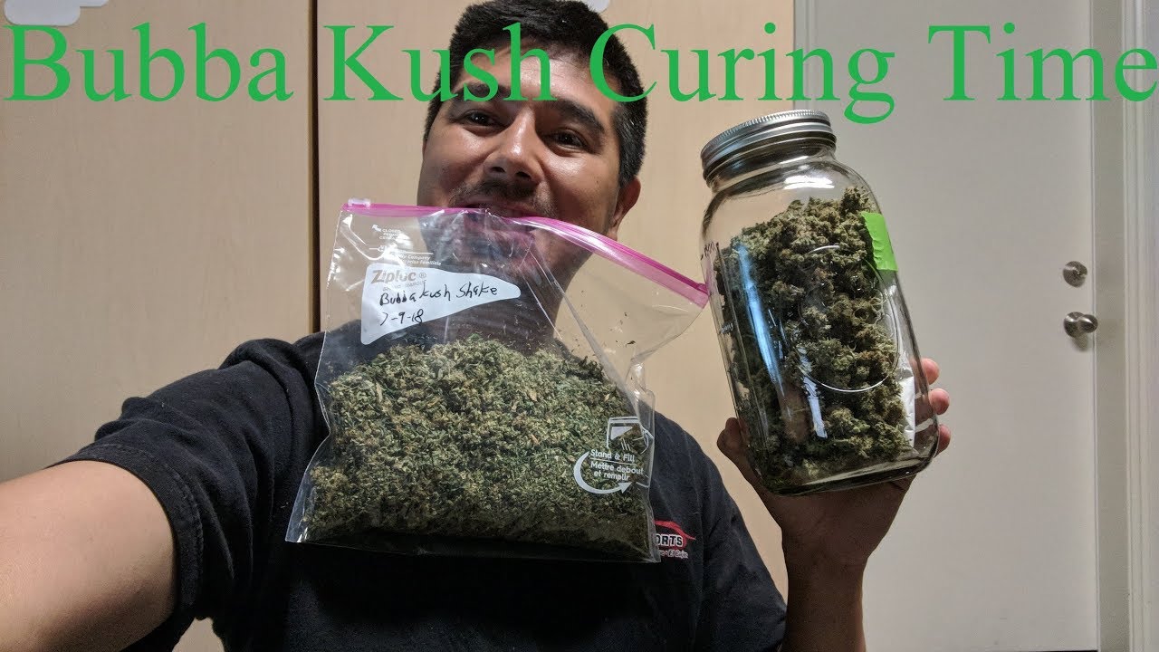 Cloudponics  Trimming and Curing Day 90 Bubba Kush