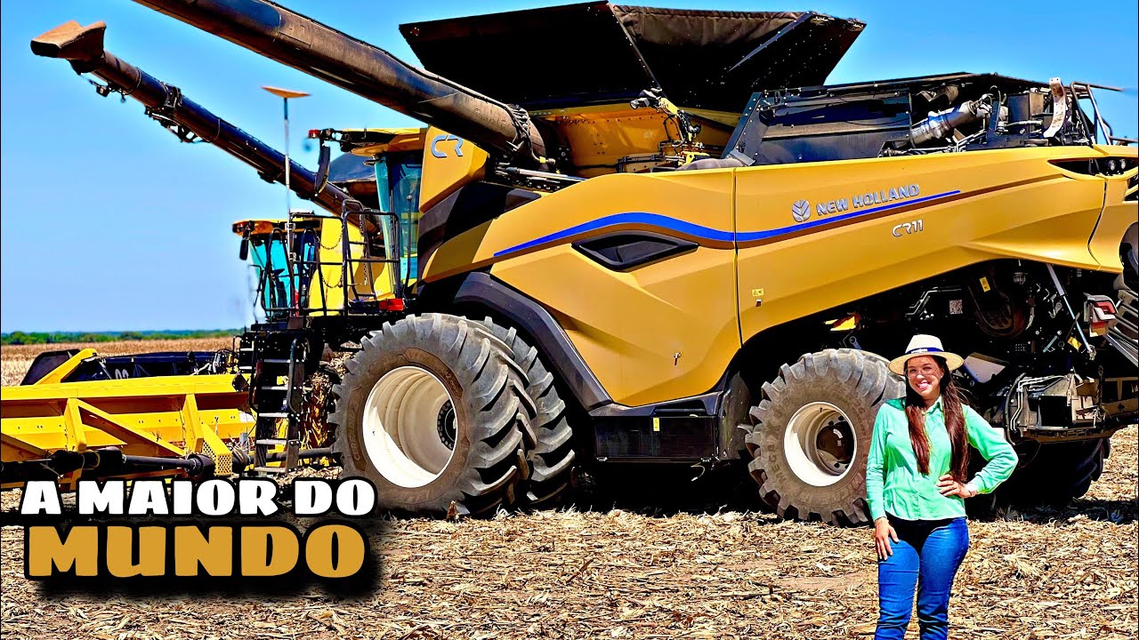 New Holland CR11 colhendo MILHO no MT 