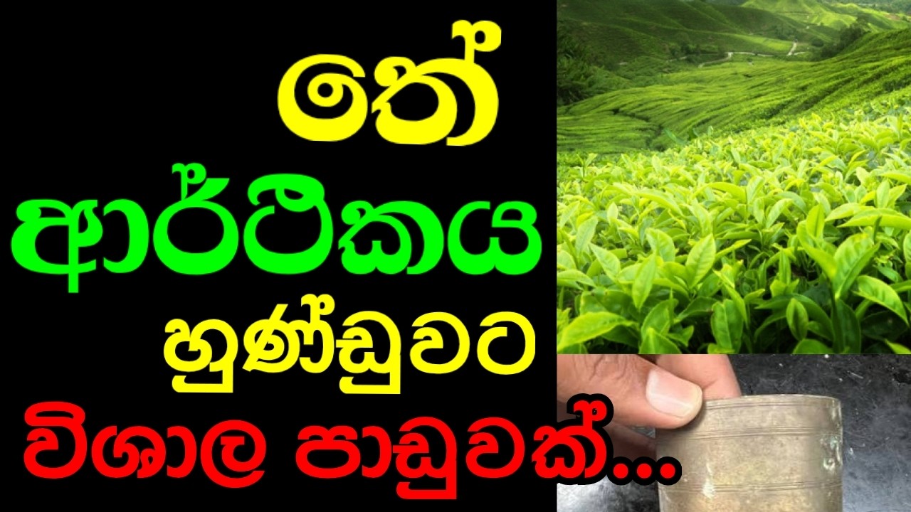 ලංකාවේ තේ අපනයනය 