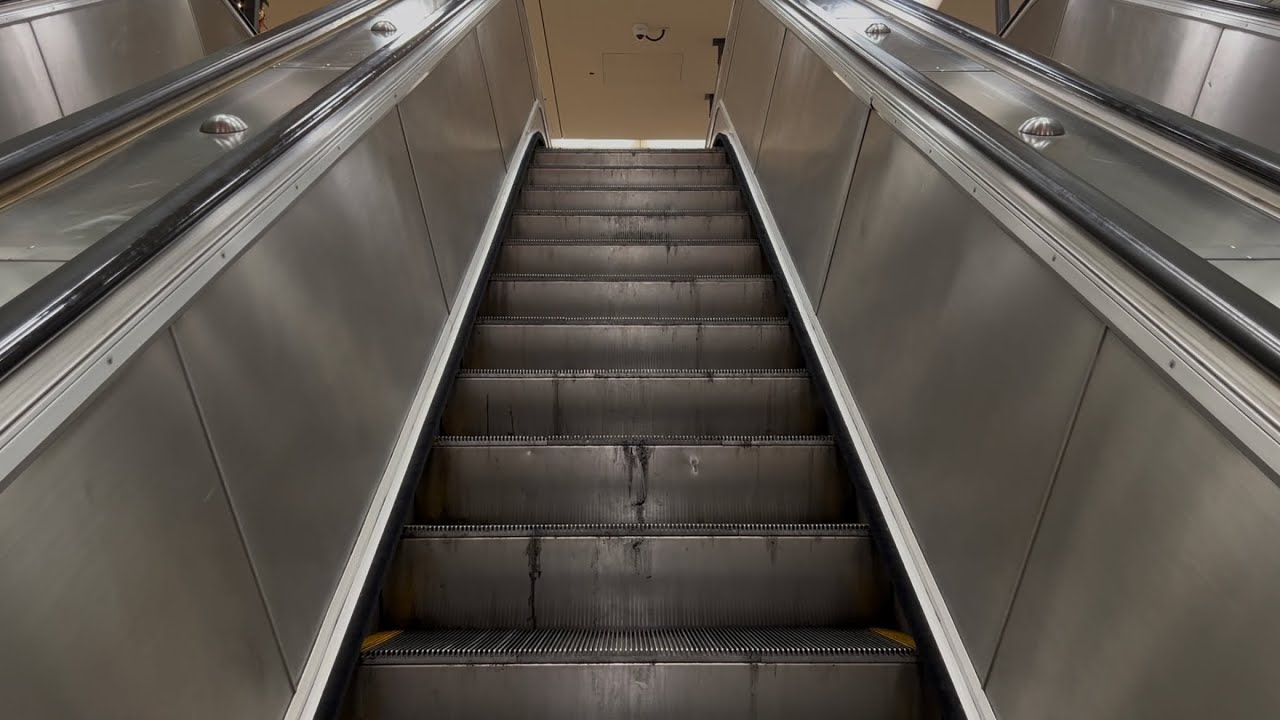 3x OLD OTIS escalators at Edgecliff station between ticket hall and mall levels