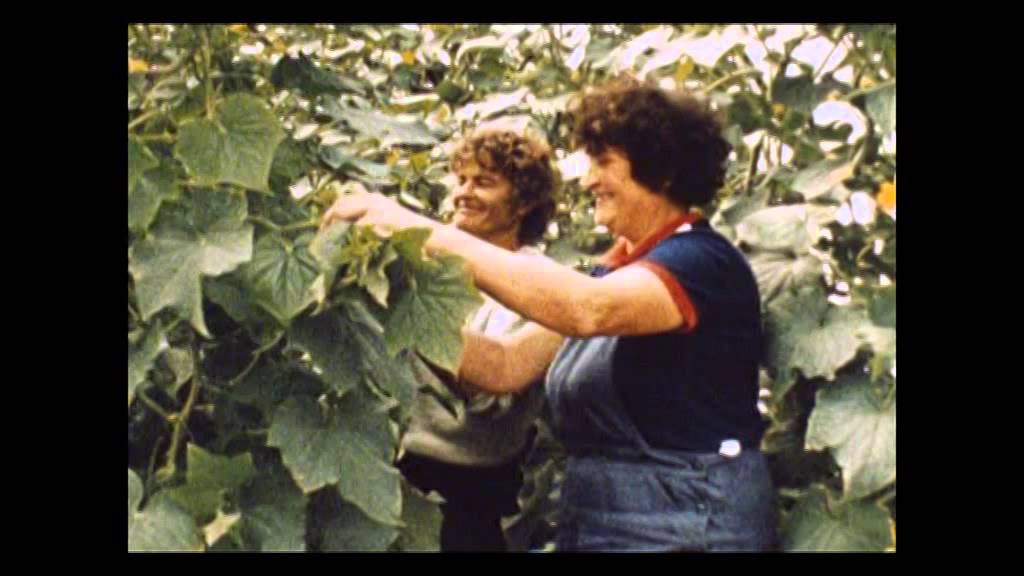 Landwirtschaft vor 1990 Poseritz und Gustow
