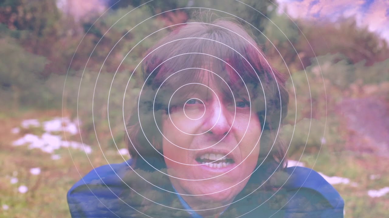 The Grip Weeds "Vibrations" Official Video