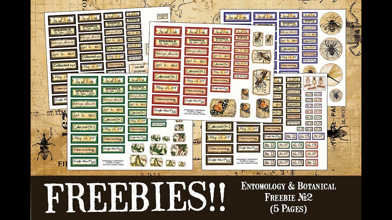 Another FREEBIE!! l   Coordinates with Entomology & Botanical Digital l So Much Fun!!