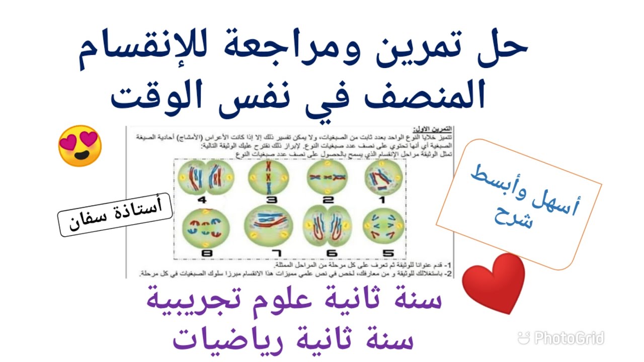 حل تمرين حول الانقسام المنصف😍 + منهجية انشاء نص علمي ❣️#العلوم_بكل_سهولة