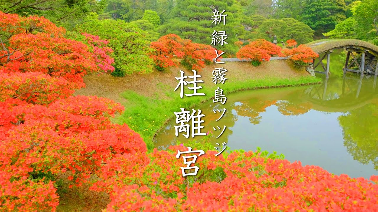 日本庭園の最高峰 桂離宮の一番美しいとき