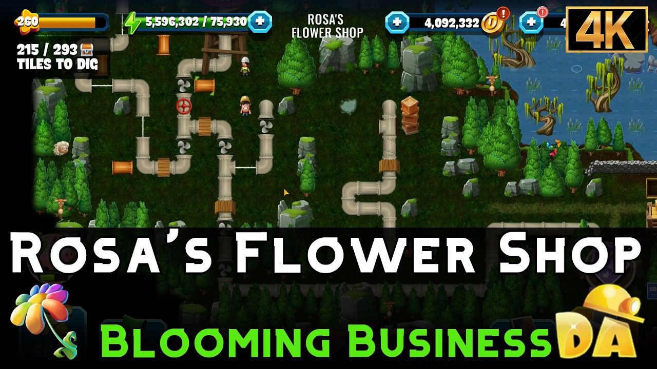 Rosa's Flower Shop | Blooming Business #2 | Diggy's Adventure