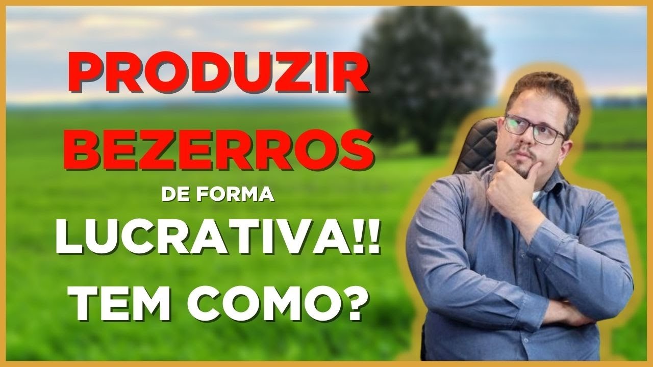 Como preparar VACAS DE CRIA para produzir BONS BEZERROS