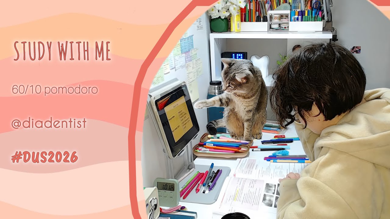 Benimle 7 saat #dus çalış! Study with me live 7 hours #studywithme #pomodoro #tus #kpss #yks #lgs
