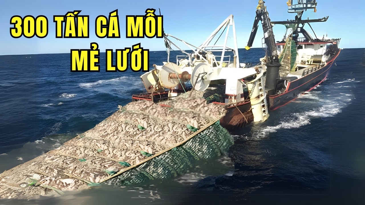 B&ecirc;n Trong Si&ecirc;u T&Agrave;U Đ&Aacute;NH C&Aacute; Lớn Nhất Thế giới: Cơn &Aacute;c Mộng 