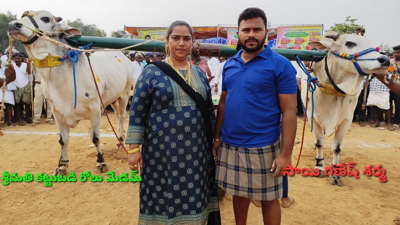 చిలకలూరిపేట సీనియర్స్ 3వ కట్టుబడి రోలిమెడం గారు ఆలగనురు నంద్యాల జిల్లా