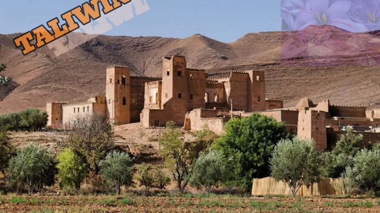 جولة في مدينة تالوين والنواحي مدينة الذهب الأحمر (زاعفران)