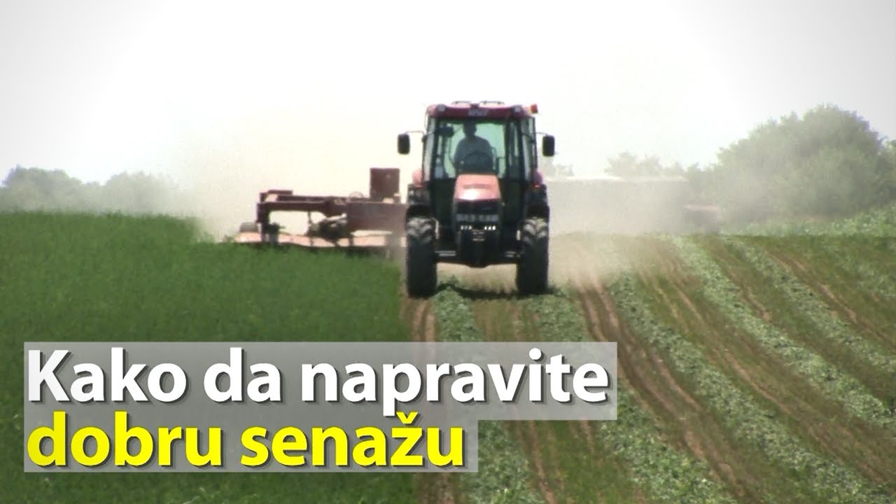 Kako da napravite dobru senažu