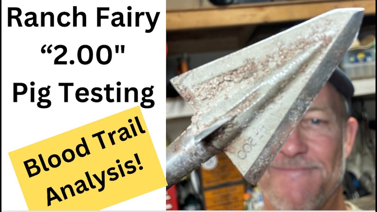 Single Bevel RF 200 Pig Testing (Blood Trail!!!)
