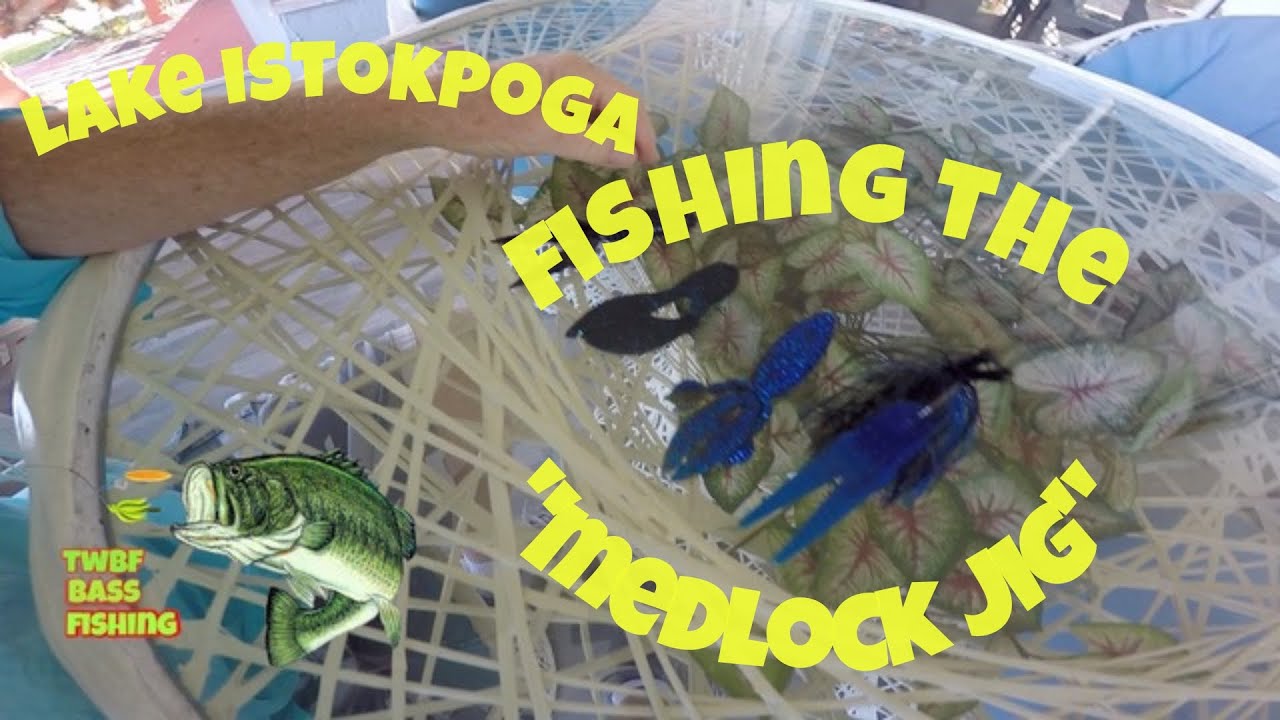 TWBF bass fishing:fishing the medlock jig/sweet beaver on lake istokpoga